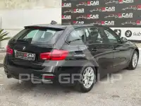 2017 BMW 316