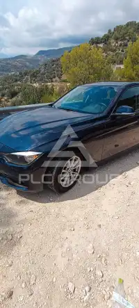2017 BMW 316