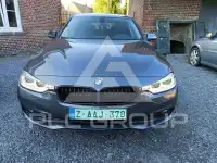 2017 BMW 316