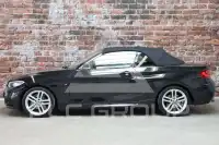 2017 BMW 218