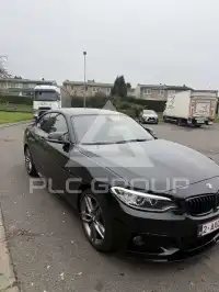 2017 BMW 218