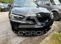 2017 BMW 218
