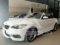 2017 BMW 218