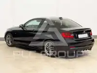 2017 BMW 218