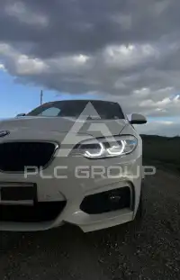 2017 BMW 218