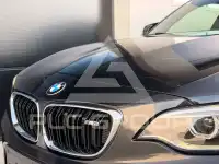 2017 BMW M2