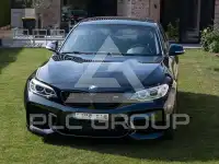 2017 BMW M2