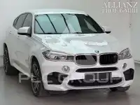 2017 BMW X6
