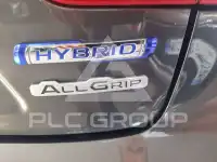 2017 Suzuki Ignis