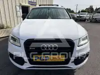 2017 Audi SQ5