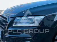 2017 Audi SQ5