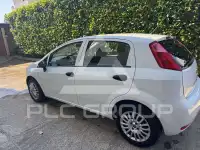 2017 Fiat Punto