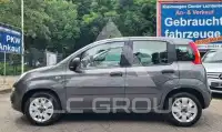 2017 Fiat Panda