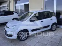2017 Fiat Panda