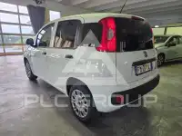 2017 Fiat Panda