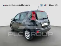 2017 Fiat Panda