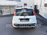 2017 Fiat Panda