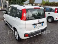 2017 Fiat Panda