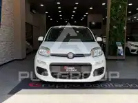 2017 Fiat Panda