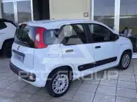 2017 Fiat Panda