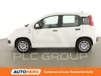 2017 Fiat Panda