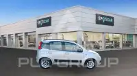 2017 Fiat Panda