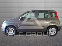 2017 Fiat Panda