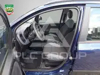 2017 Fiat Panda