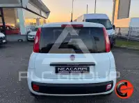 2017 Fiat Panda