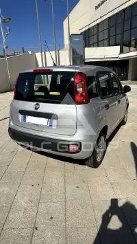 2017 Fiat Panda