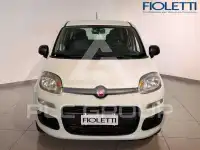 2017 Fiat Panda