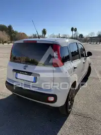 2017 Fiat Panda