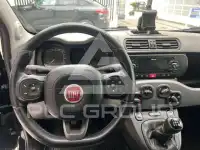 2017 Fiat Panda