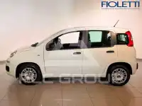 2017 Fiat Panda