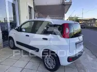 2017 Fiat Panda