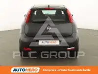 2017 Fiat Punto