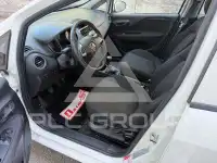 2017 Fiat Punto