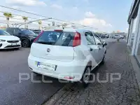 2017 Fiat Punto