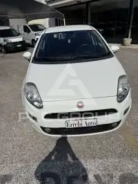 2017 Fiat Punto