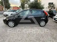 2017 Fiat Punto