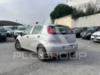 2017 Fiat Punto
