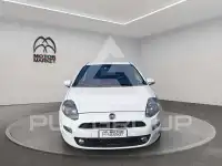 2017 Fiat Punto