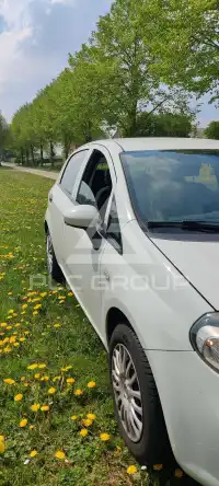 2017 Fiat Punto