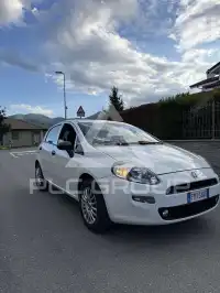 2017 Fiat Punto