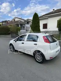 2017 Fiat Punto