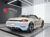 2017 Porsche 718