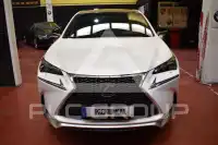 2017 Lexus NX300