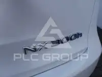 2017 Lexus NX300