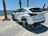 2017 Lexus NX300