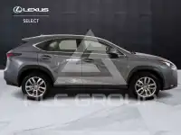 2017 Lexus NX300
